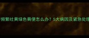 哈士奇频繁吐黄绿色粪便怎么办5大病因及紧急处理指南