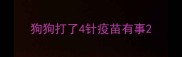 狗狗打了4针疫苗有事