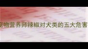 小狗能吃辣吗宠物营养师辣椒对犬类的五大危害与科学喂养指南