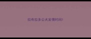 拉布拉多公犬发情时间