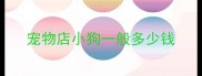 宠物店小狗一般多少钱