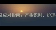 边境牧羊犬生产前兆及应对指南产兆识别护理要点和紧急情况处理