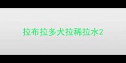 拉布拉多犬拉稀拉水