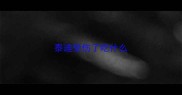 泰迪受伤了吃什么