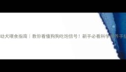 幼犬喂食指南教你看懂狗狗吃饱信号新手必看科学喂养手册