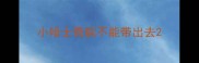 小哈士奇能不能带出去