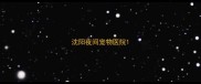 沈阳夜间宠物医院