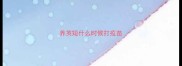 养英短什么时候打疫苗