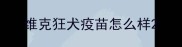 维克狂犬疫苗怎么样