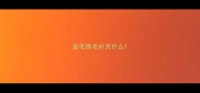 金毛换毛补充什么