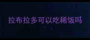 拉布拉多可以吃稀饭吗