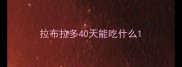 拉布拉多40天能吃什么