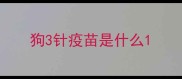 狗3针疫苗是什么