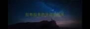 拉布拉多的牙齿有多长