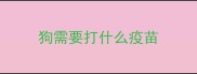 狗需要打什么疫苗