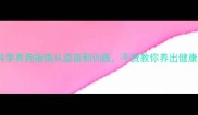 新手必看科学养狗指南从疫苗到训练干货教你养出健康快乐的小狗