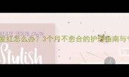 宠物术后伤口发红怎么办3个月不愈合的护理指南与专业兽医建议