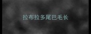 拉布拉多尾巴毛长
