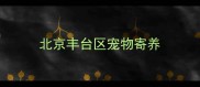北京丰台区宠物寄养