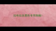 拉布拉多黑色专用狗粮