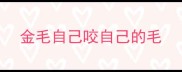 金毛自己咬自己的毛