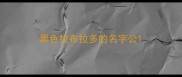 黑色拉布拉多的名字公
