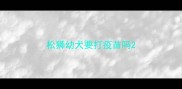 松狮幼犬要打疫苗吗
