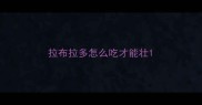 拉布拉多怎么吃才能壮