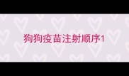 狗狗疫苗注射顺序