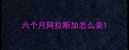 六个月阿拉斯加怎么卖