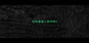 母狗看着小狗哼唧