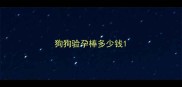 狗狗验孕棒多少钱