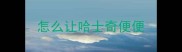 怎么让哈士奇便便