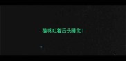 猫咪吐着舌头睡觉