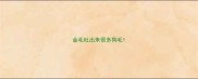 金毛吐出来很多狗毛