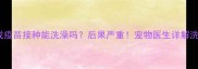 宠物未完成疫苗接种能洗澡吗后果严重宠物医生详解洗澡全指南
