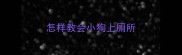 怎样教会小狗上厕所