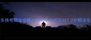 拉布拉多换毛期全攻略掉毛季如何应对3步解决毛孩子困扰