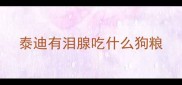 泰迪有泪腺吃什么狗粮