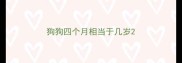 狗狗四个月相当于几岁