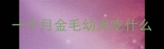 一个月金毛幼犬吃什么