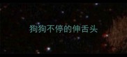 狗狗不停的伸舌头