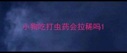 小狗吃打虫药会拉稀吗