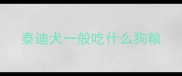 泰迪犬一般吃什么狗粮
