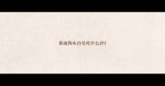 泰迪狗长白毛吃什么好