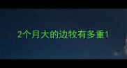 2个月大的边牧有多重