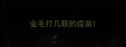 金毛打几联的疫苗