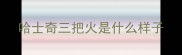 哈士奇三把火是什么样子