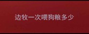 边牧一次喂狗粮多少