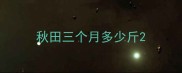 秋田三个月多少斤